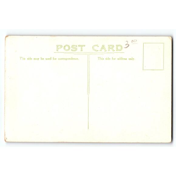 Vintage Crimson-Breasted Bush-Strike Bird Lithograph Postcard South Africa - Picture 2 of 2